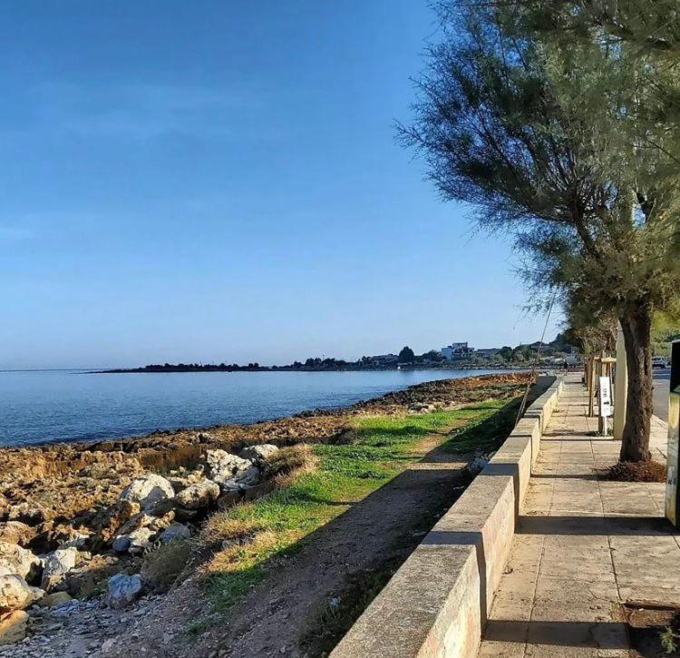 Marea Villa ปาแลร์โม ภายนอก รูปภาพ